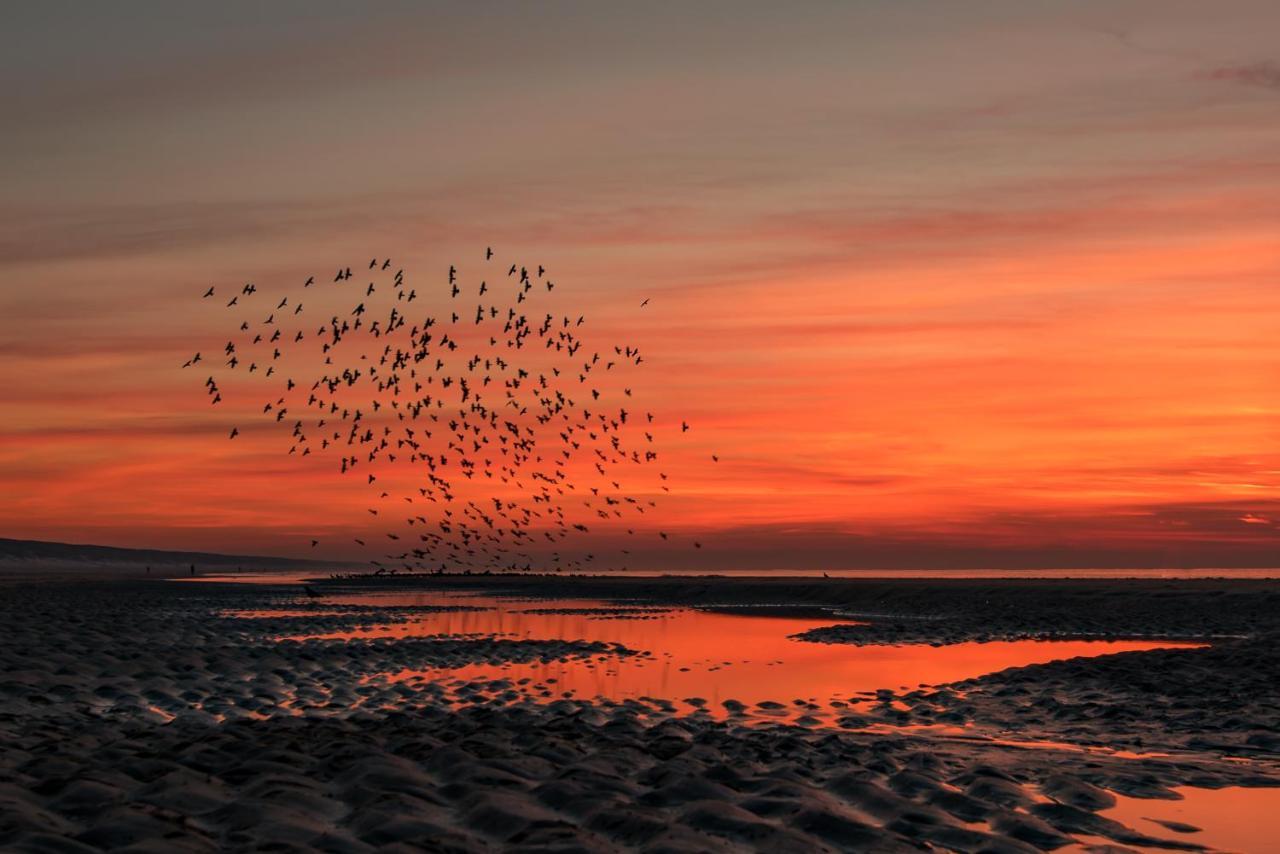 Hoekje Aan Zee Katwijk aan Zee Exterior foto